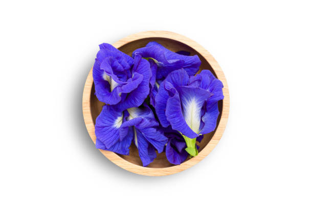 istock Butterfly pea flower or blue pea on white 1333155156