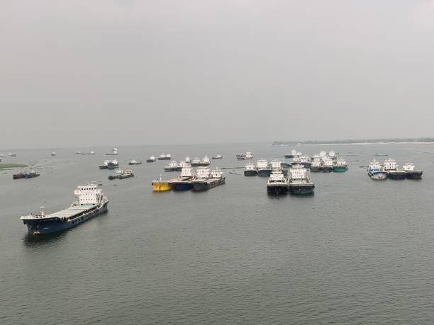 boats in the harbor