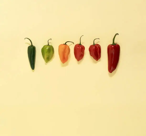 Photo of Jalapeno and habanero hot chili peppers lay down on a yellow background, minimal flat lay composition with copy space