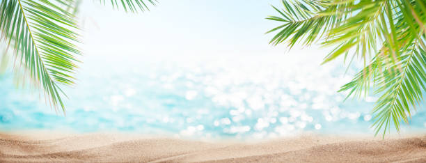 istock Summer tropical sea and palm leaves 1333158368
