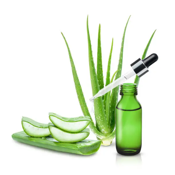 Aloe Vera essential oil with Aloevera leaf and aloe gel isolated on white background. Skincare, health, beauty and spa concept.