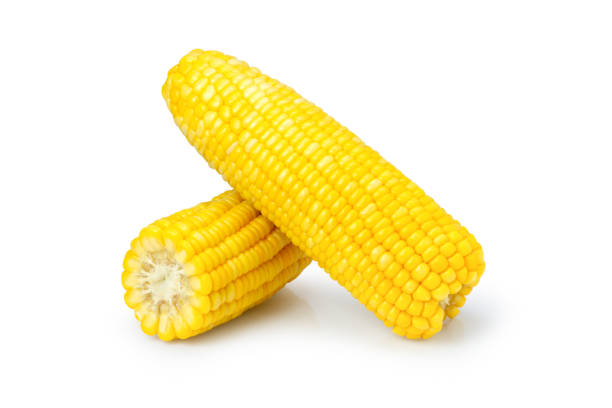 Fresh sweet corn isolated on white background. stock photo
