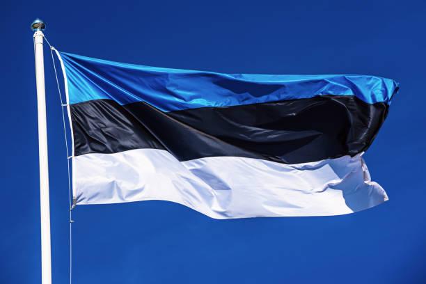 istock Flag of Estonia 1333165642