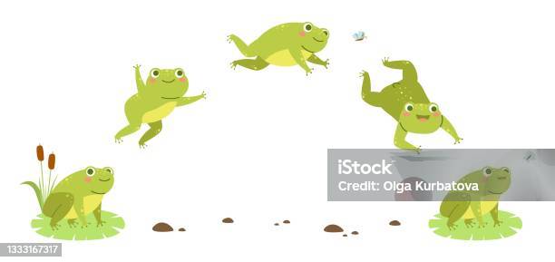 Frog Jump Funny Toad Step Hop Sequences Amphibian Character Moving Animation  Phases Jumping Water Animal 2d Storyboard Aquatic Reptile Mascot Vector  Cartoon Isolated Concept Stock Illustration - Download Image Now - iStock