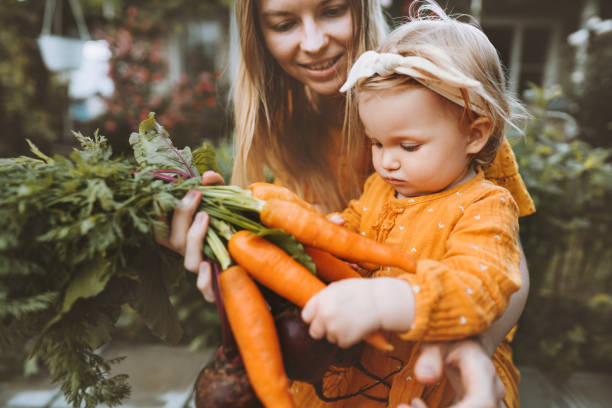 mutter und kind tochter mit bio-gemüse gesundes essen familienlebensstil hausgemachte rüben und karotten lokale landwirtschaft gartenarbeit veganes ernährungskonzept - baby carrot stock-fotos und bilder