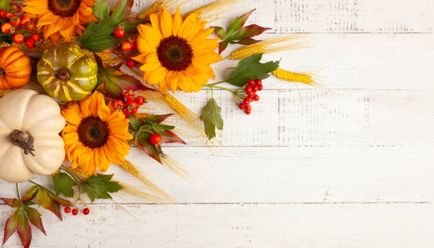 istock Concept of fall harvest or Thanksgiving day. 1333170281