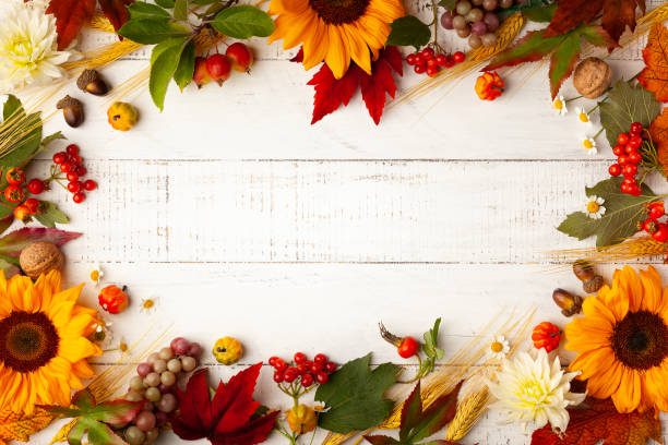 istock Concept of fall harvest or Thanksgiving day. 1333170294
