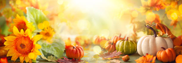 istock Festive autumn decor from pumpkins, flowers and fall leaves. 1333170300