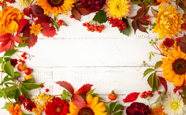 istock Concept of fall harvest or Thanksgiving day. 1333170305