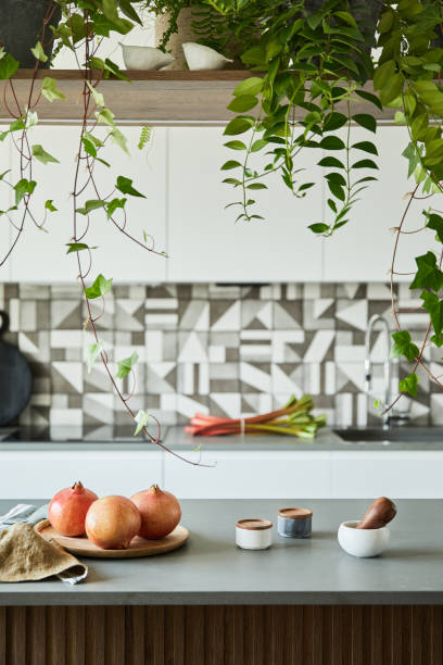 Stylish kitchen interior design with workspace with kitchen accessories. Creative walls with panels. Minimalistic style an plant love concept.