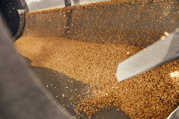 istock Golden wheat grains sorting, drying and peeling in the machine 1333175551
