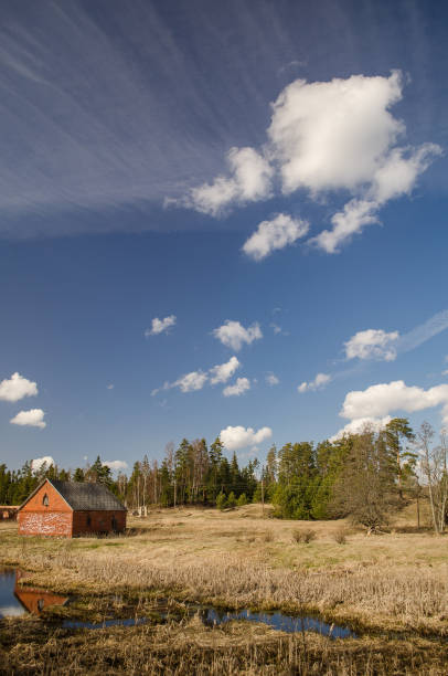 istock Abandoned red brick house by the pond 1333176058