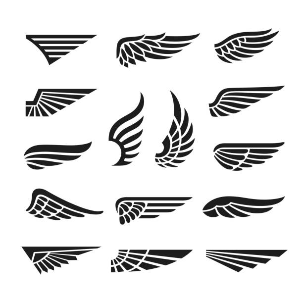 illustrations, cliparts, dessins animés et icônes de ailes d’aigle. logo minimal de l’armée, icônes graphiques de l’aile. badges abstraits rétro d’oiseaux faucons noirs, collection de vecteurs bien rangés emblème de vol isolés - wing