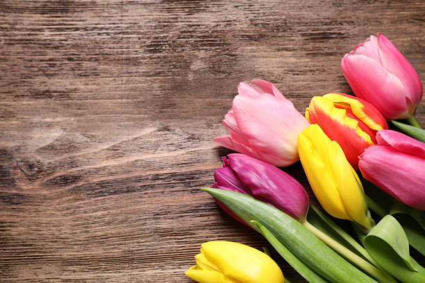 istock Beautiful spring tulips on wooden table, flat lay. Space for text 1333184763