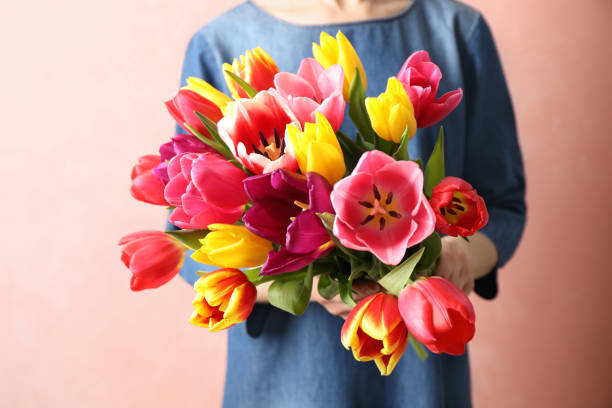 istock Woman holding beautiful spring tulips on light background, closeup 1333185393