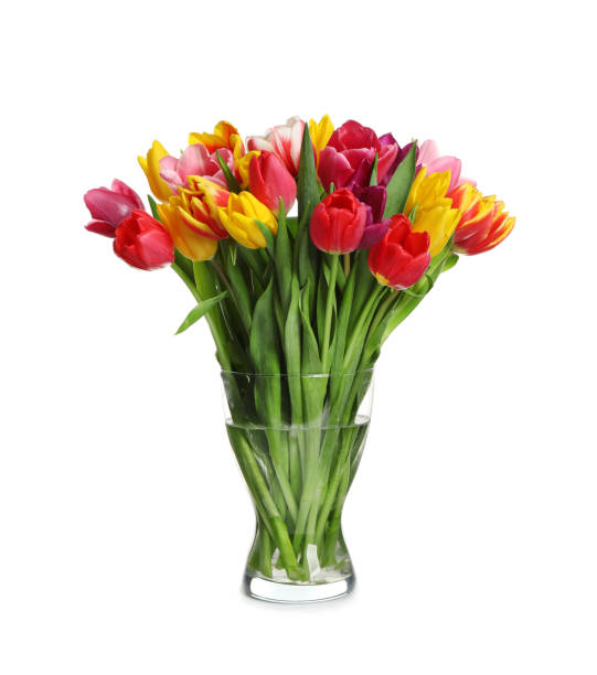 istock Beautiful spring tulips in vase isolated on white 1333185446