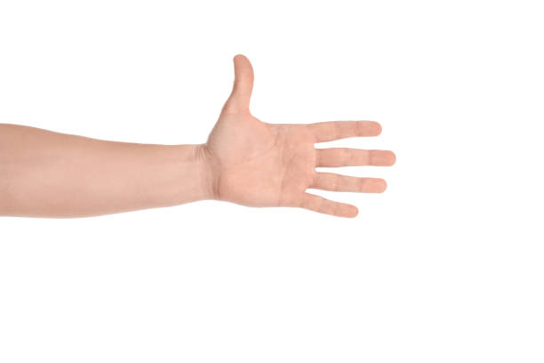 istock Young man on white background, closeup view 1333185552