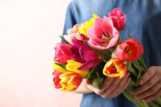 istock Woman holding beautiful spring tulips on light background, closeup 1333185634