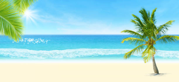 istock Green coconut tree on sand with seascape view and blue sky in background. 1333186926