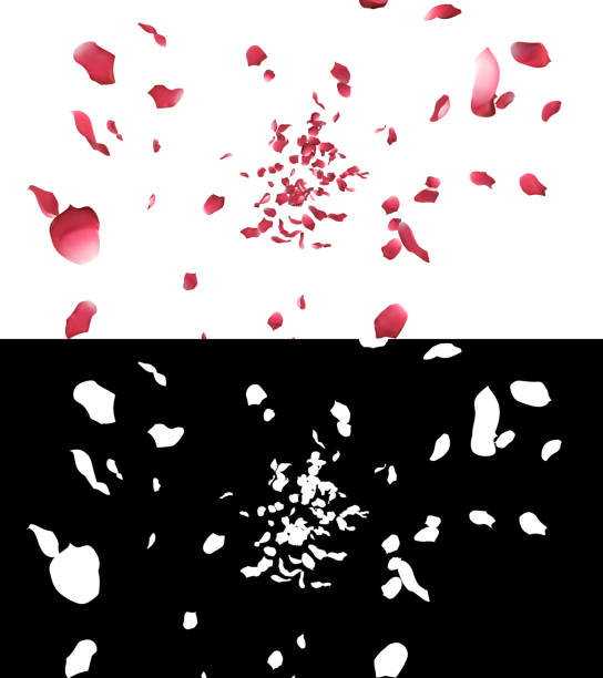 3D illustration of rose petals flow with alpha layer stock photo