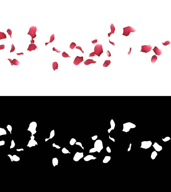 3D illustration of rose petals flow with alpha layer stock photo