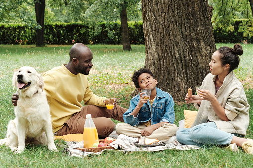 African family sitting on the grass and eating while spending time on picnic together with their dog