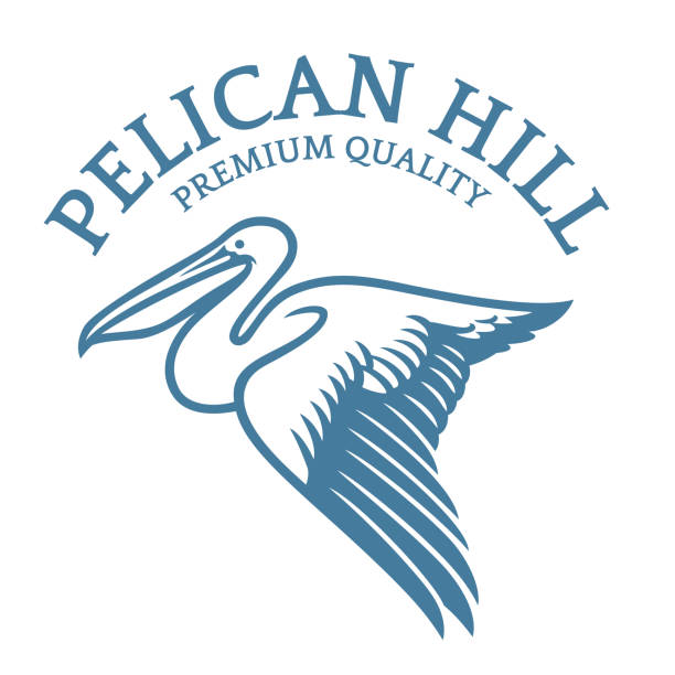illustrazioni stock, clip art, cartoni animati e icone di tendenza di logo flying pelican in stile elegante - pellicano