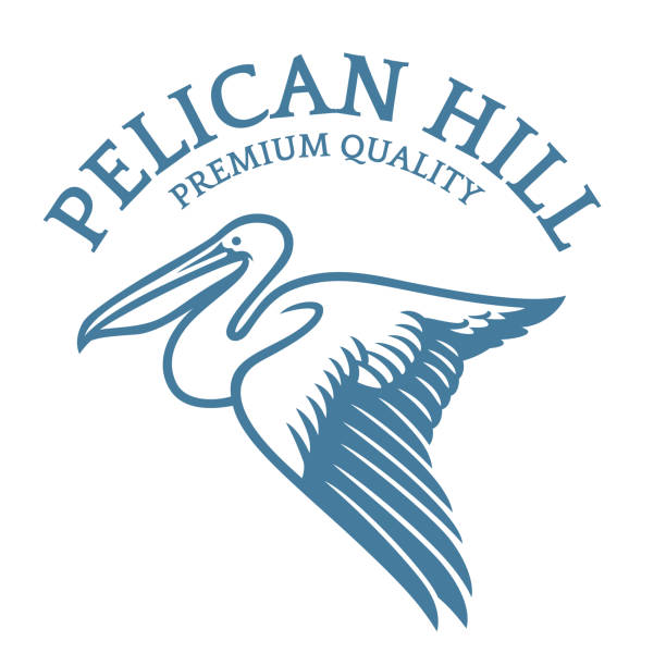 Flying Pelican logo in elegant style vector of Flying Pelican logo in elegant style pelican stock illustrations