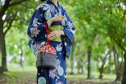 Young Japanese woman wearing a yukata