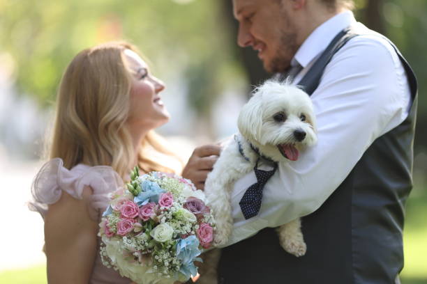 istock Bride and groom looking each other while groom carrying their dog 1333192070