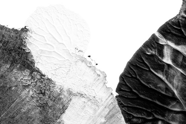 istock black white abstract acrylic painting color texture on white paper background by using rorschach inkblot method 1333193217
