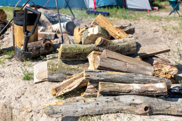 istock firewood in the camp 1333194648