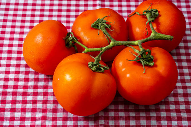 Fresh tomatoes on wood background