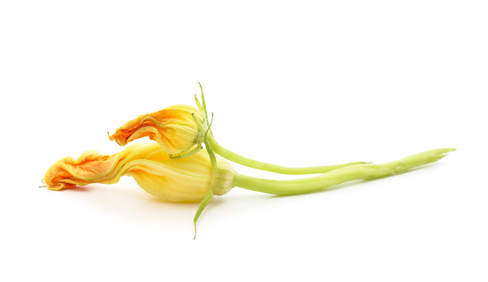 Beautiful yellow pumpkin flower with green leaves isolated on a white background.