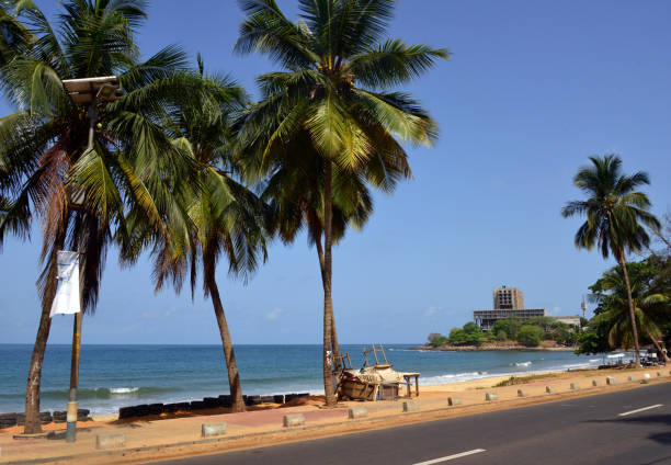Lumley Beach - coconut trees along Lumley Beach Road, Aberdeen, Freetown's main beach, Sierra Leone Freetown, Western Area, Sierra Leone: Lumley Beach, is the capital's favourite beach, about four kilometers long, Aberdeen Peninsula, Cockerill Bay, Atlantic Ocean - Cape Sierra Hotel in the background. lumley stock pictures, royalty-free photos & images