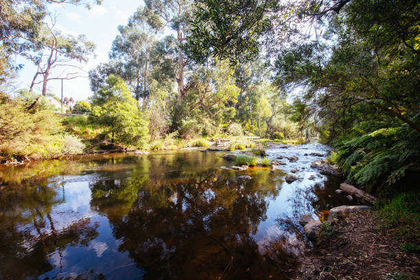 istock Yarra River View in Millgrove Australia 1333203470