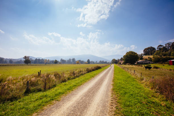 istock Lilydale to Warburton Rail Trail in Australia 1333203477