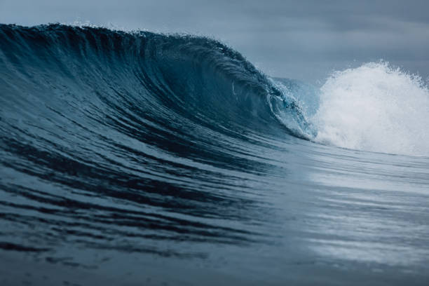 istock Perfect barrel wave on sandy beach. Breaking ocean wave with cloudy weather 1333203888