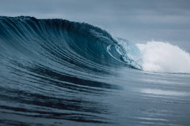 istock Perfect barrel wave on sandy beach. Breaking ocean wave with cloudy weather 1333203993