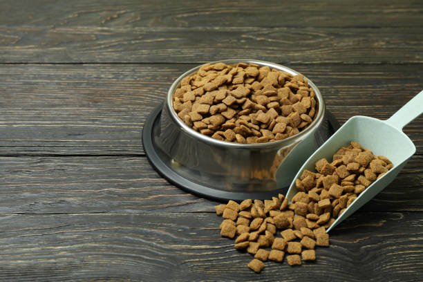 istock Pet bowl and scoop with feed on wooden background 1333204990