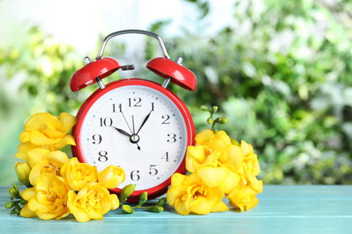 Alarm clock placed among the flowers, representing the end of winter.