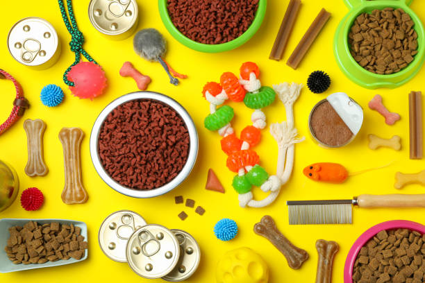 istock Pet accessories on yellow background, top view 1333205837