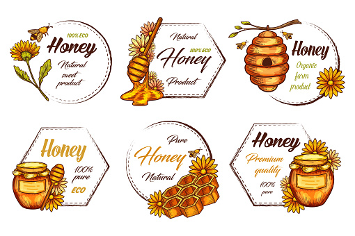 Decorative labels for honey product. Vintage frames with outline elements of beehive, bee, honeycomb, flower and jar. Natural pure extract, medical treatment ingredient. Organic food, vitamin product.