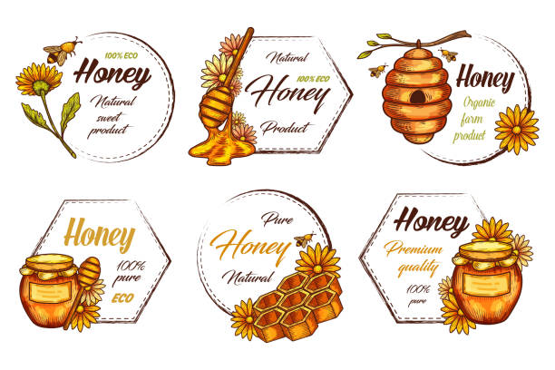 Decorative labels for honey product. Vintage frame Decorative labels for honey product. Vintage frames with outline elements of beehive, bee, honeycomb, flower and jar. Natural pure extract, medical treatment ingredient. Organic food, vitamin product. honey illustrations stock illustrations