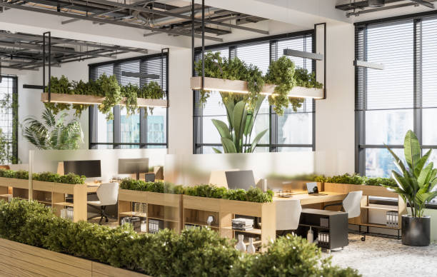 istock 3D image of an environmentally friendly coworking office space 1333206784