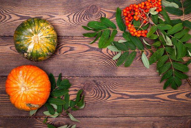 vista superior de mini abóbora laranja e verde e frutos de outono rowan em fundo de madeira. feliz ação de graças e colheita, composição de outono com lugar para texto - squash pumpkin orange japanese fall foliage - fotografias e filmes do acervo