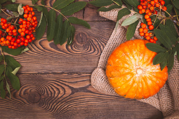 top view of orange pumpkin on burlap and red rowan on wooden background in rustic style. happy thanksgiving and harvest, autumn composition with place for text - squash pumpkin orange japanese fall foliage imagens e fotografias de stock