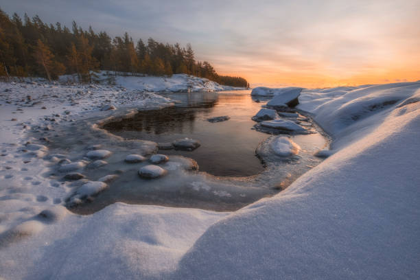 piccola baia lago ladoga all'alba con neve fresca in inverno - pine sunset night sunlight foto e immagini stock