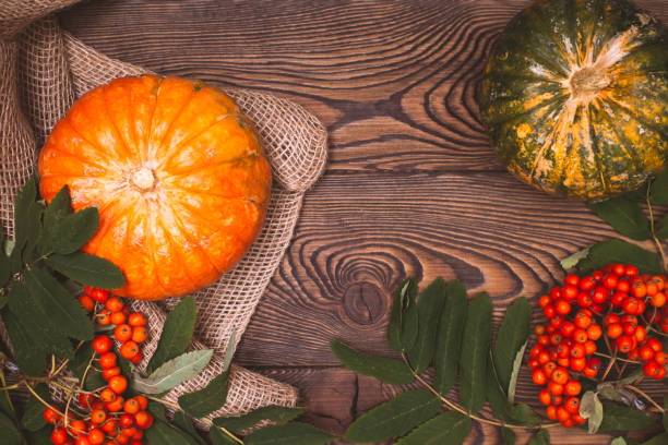 vista dall'alto della mini zucca arancione e verde e delle bacche di canottaggio autunnali su sfondo di legno. buon ringraziamento e raccolto, composizione autunnale con posto per il testo - squash pumpkin orange japanese fall foliage foto e immagini stock