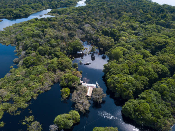 Drone aerial view of forest trees, small houses and boats in the biggest flood of the Negro river history in the Amazon rainforest. Concept of environment, ecology, climate change, global warming. Drone aerial view of forest trees, small houses and boats in the biggest flood of the Negro river history in the Amazon rainforest. Concept of environment, ecology, climate change, global warming. rio negro brazil stock pictures, royalty-free photos & images